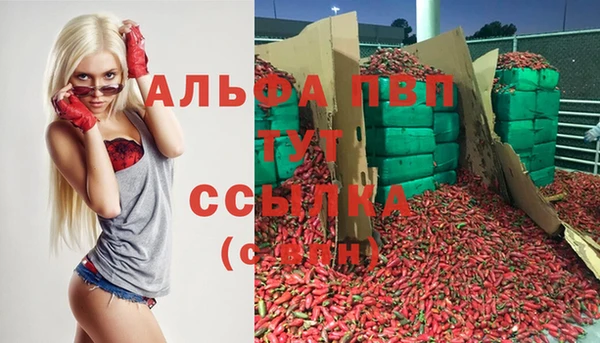 стаф Надым
