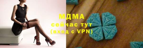 гашик Михайлов