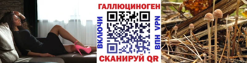 Псилоцибиновые грибы Psilocybe  МЕГА   Петушки 
