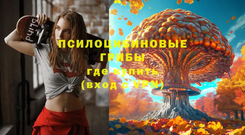 Псилоцибиновые грибы мицелий  Петушки 